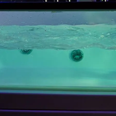 Apartman Wonderland *